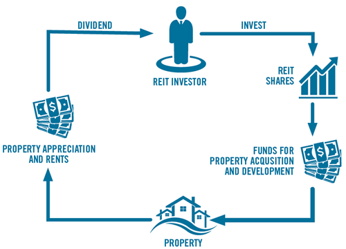 REITs in Hawaii Infographic